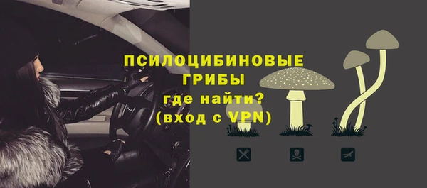 spice Верхний Тагил