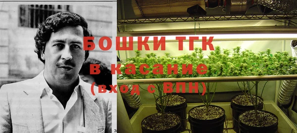 spice Верхний Тагил