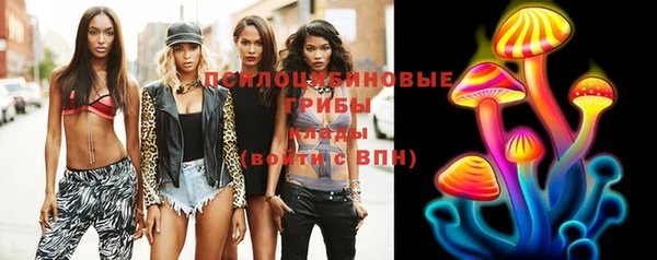spice Верхний Тагил
