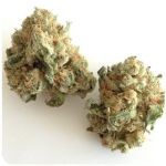 Шишки "White Widow"  (Белая вдова)  Гидропоника -  Бошка VHQ в Высоковске